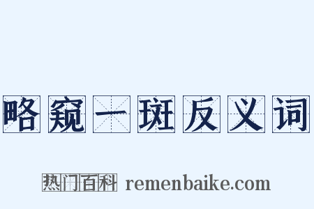 略窥一斑反义词是什么意思的图片